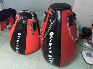 Bao cát quả lê tại Vuavothuat.vn