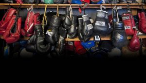 Read more about the article Top những dụng cụ boxing không thể thiếu khi luyện tập.