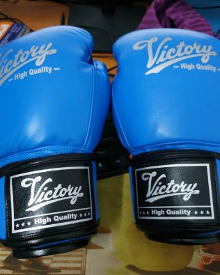 Găng Boxing Victory