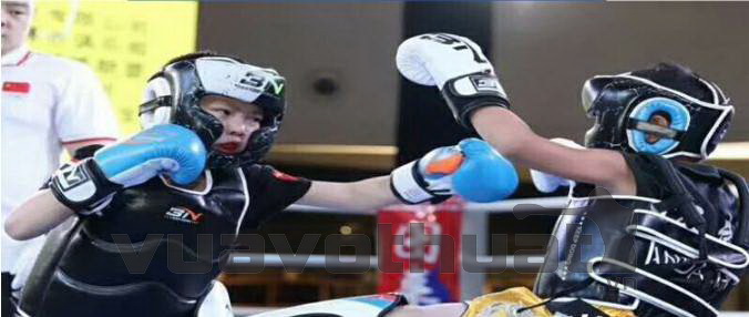 You are currently viewing So sánh Găng tay Boxing đấm bốc trẻ em Wolon & BN | Găng nào phù hợp hơn?
