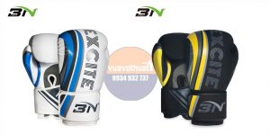 Mở túi Găng tay boxing BN 2020 cực chất | Kickboxing | Muaythai | MMA | Giá rẻ | Mua găng tập võ