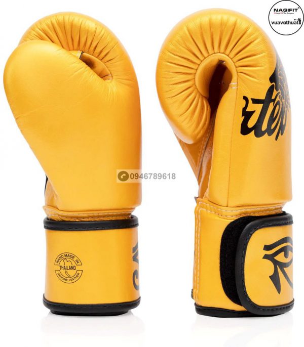 Gang Tay Fairtex Bgv1 Falcon Limited Edition Boxing Gloves 10
