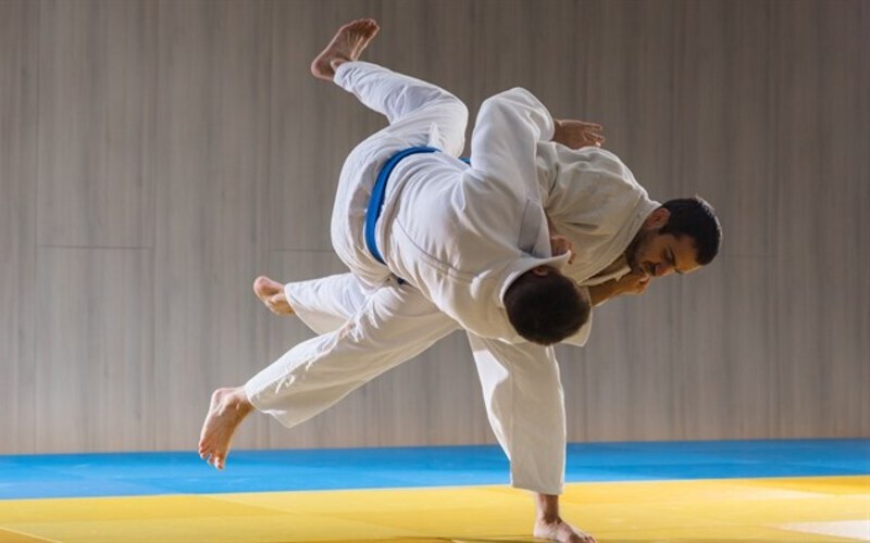 vo judo 0