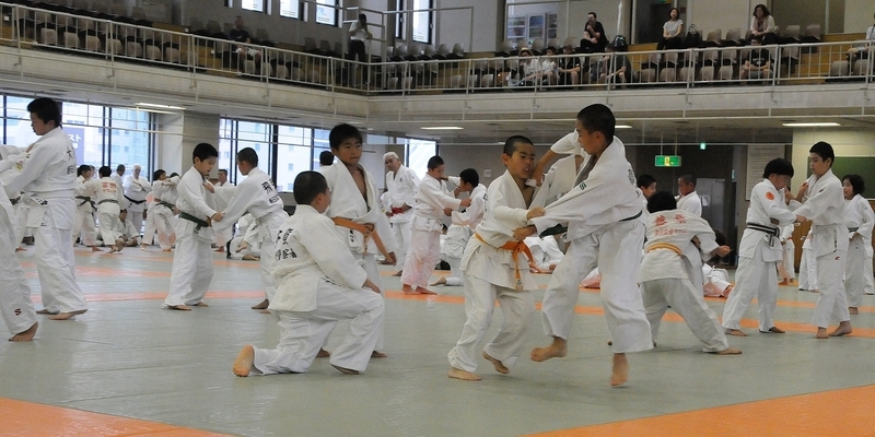 vo judo 3