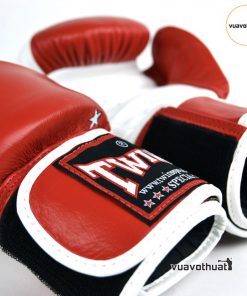 Găng tay Twins FBGVL10 Boxing Gloves