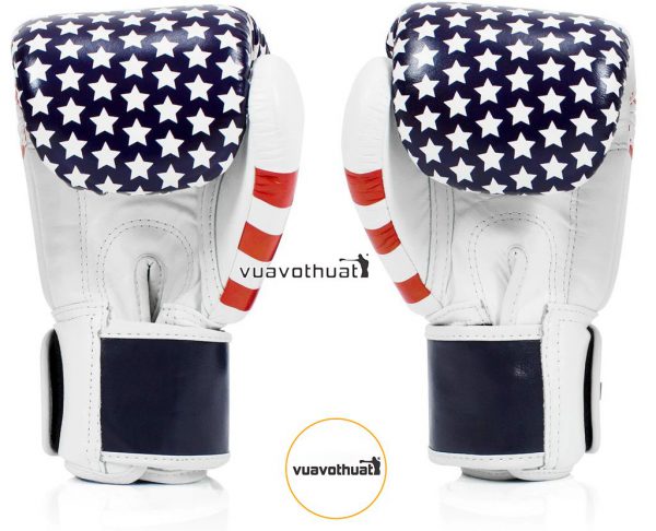 Găng Tay Boxing Fairtex Bgv1 USA Flag Muay Thai Gloves