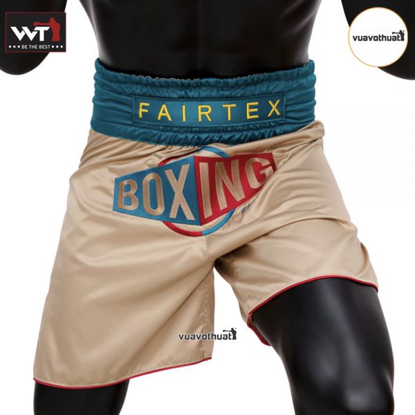 Quần Fairtex Boxing BT2010 Vintage | Boxing Trunk