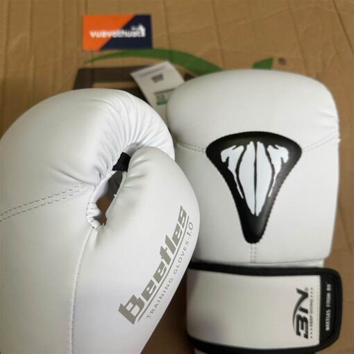 gang tay boxing 3n beetles 2